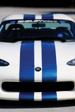 Dodge Viper RT/10 CS by Fitzgerald Motorsports 1995 года